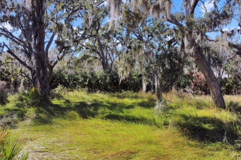 Land in Riverview, Florida № 2118800 - photo 15