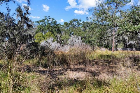 Land in Riverview, Florida № 2118800 - photo 16