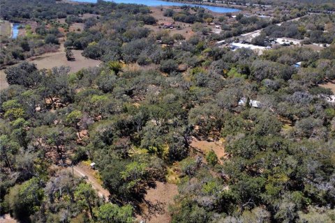 Land in Riverview, Florida № 2118800 - photo 10