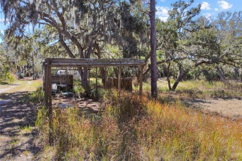 Land in Riverview, Florida № 2118800 - photo 2