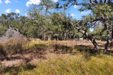 Land in Riverview, Florida № 2118800 - photo 17