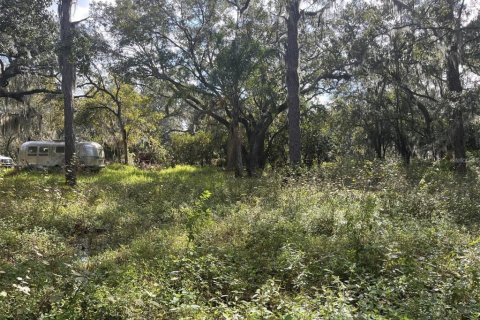 Land in Riverview, Florida № 2118800 - photo 24