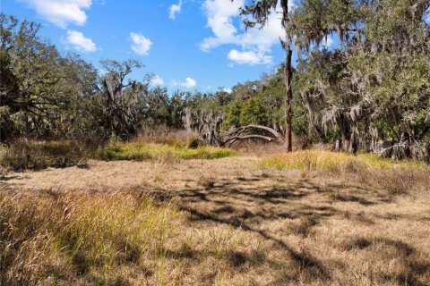 Land in Riverview, Florida № 2118800 - photo 7