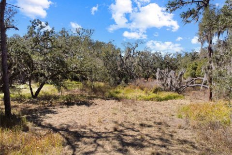 Land in Riverview, Florida № 2118800