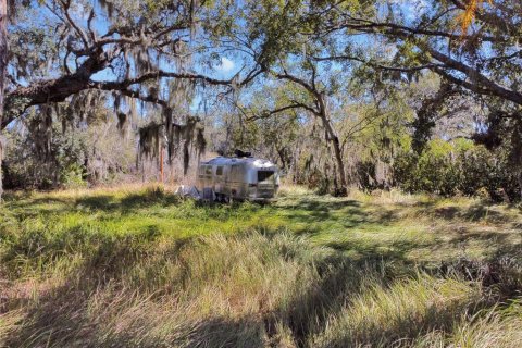 Land in Riverview, Florida № 2118800 - photo 14
