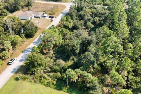 Land in North Port, Florida № 2163749 - photo 8