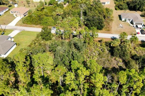 Land in North Port, Florida № 2163749 - photo 9
