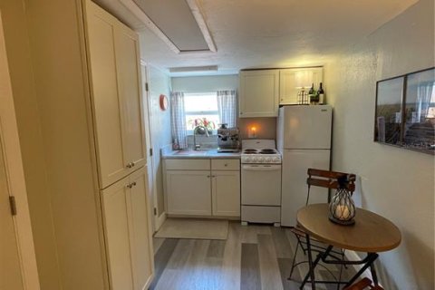 Casa en alquiler en Saint Pete Beach, Florida, 1 habitación, 33.44 m2 № 1805654 - foto 19