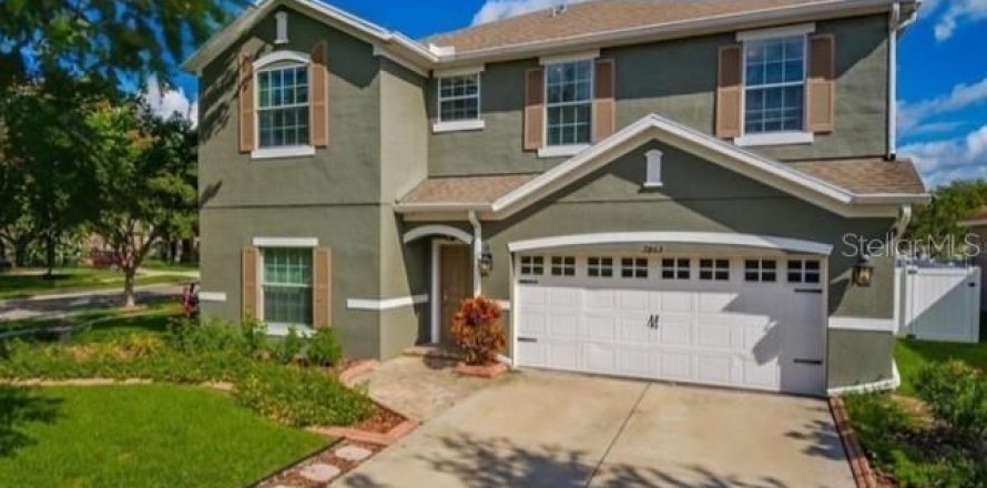House in Lutz, Florida 4 bedrooms, 240.62 sq.m. № 2342340