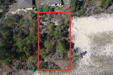 Land in Citrus Springs, Florida № 2277532