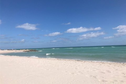 Condominio en alquiler en Miami Beach, Florida, 1 dormitorio, 67.45 m2 № 1992089 - foto 13