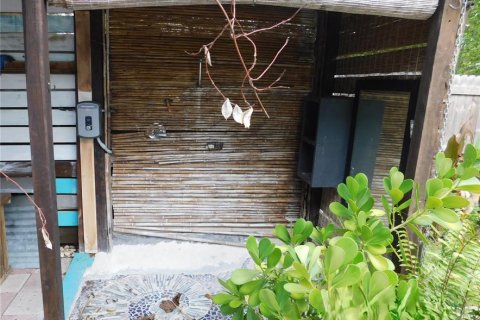 House in Saint Petersburg, Florida 2 bedrooms, 67.17 sq.m. № 2388736 - photo 19
