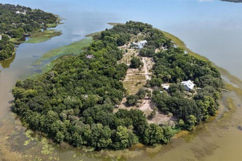 Купить виллу или дом в Хейнс-Сити, Флорида 14 комнат, 718.32м2, № 2259169 - фото 6