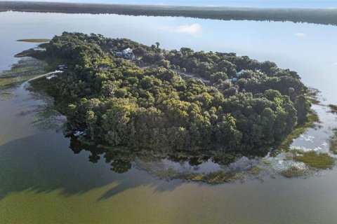 Купить виллу или дом в Хейнс-Сити, Флорида 14 комнат, 718.32м2, № 2259169 - фото 3