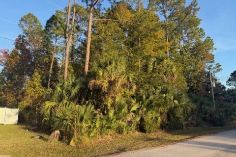 Land in Palm Coast, Florida № 2118423