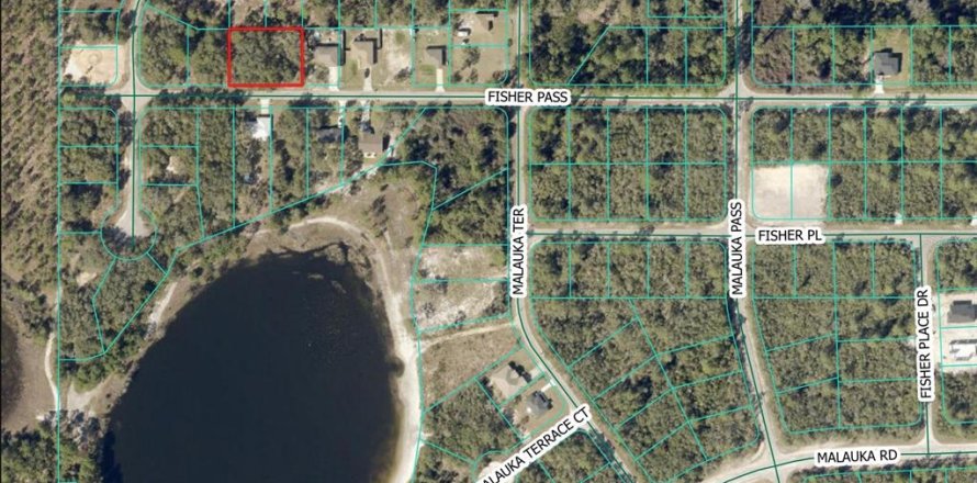 Terrain à Ocklawaha, Floride № 2196376