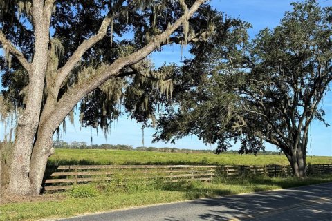Terreno en venta en Summerfield, Florida № 1396470 - foto 1