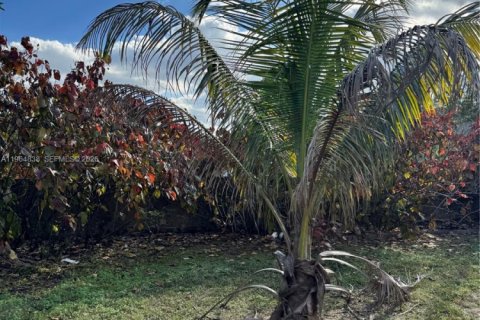 Commercial property in Miami, Florida 243.87 sq.m. № 2026100 - photo 3