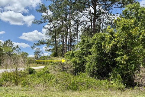 Land in Eustis, Florida № 1624897 - photo 2
