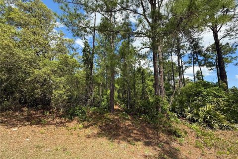 Land in Eustis, Florida № 1624897 - photo 9