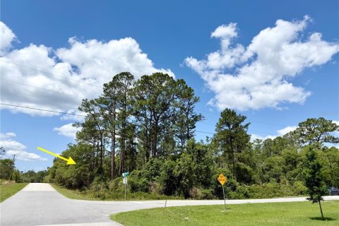 Land in Eustis, Florida № 1624897 - photo 1