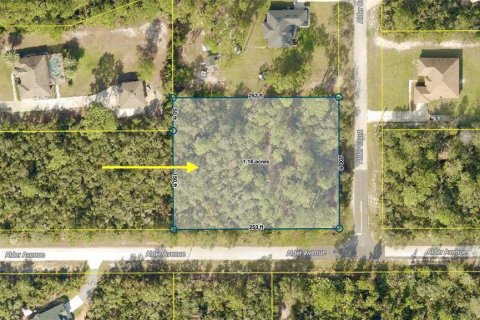 Land in Eustis, Florida № 1624897 - photo 3