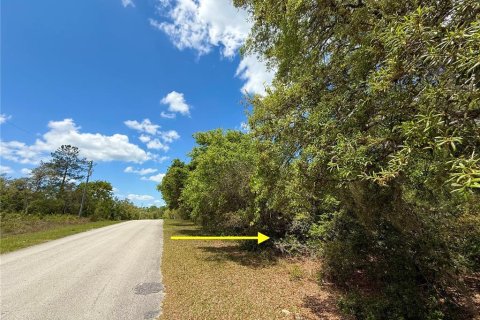 Land in Eustis, Florida № 1624897 - photo 15