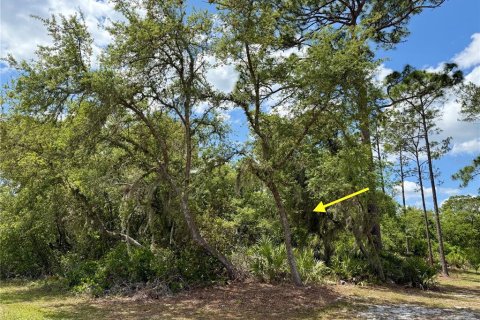 Land in Eustis, Florida № 1624897 - photo 5