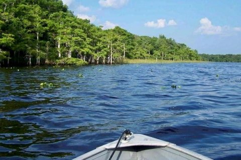 Land in Eustis, Florida № 1624897 - photo 25