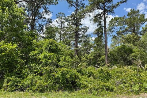 Land in Eustis, Florida № 1624897 - photo 4