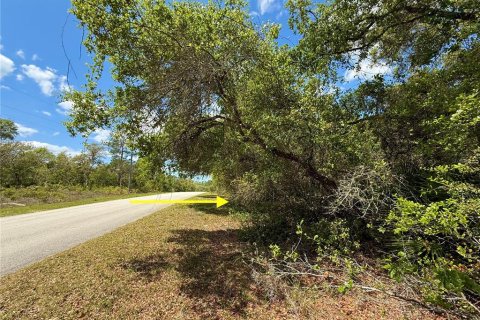Land in Eustis, Florida № 1624897 - photo 12