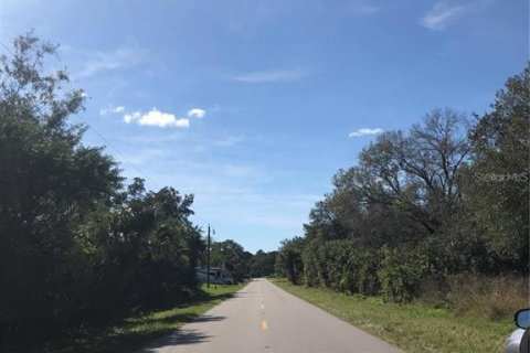 Land in Port Charlotte, Florida № 2163483 - photo 2
