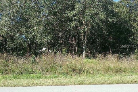 Land in Port Charlotte, Florida № 2163483 - photo 5