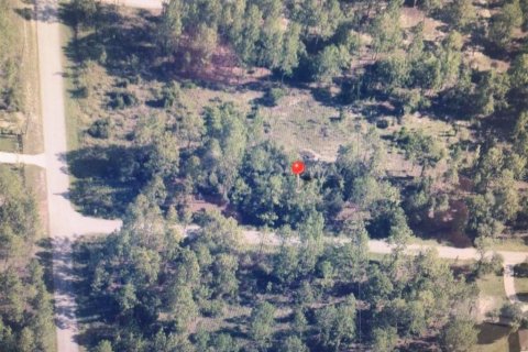 Land in Dunnellon, Florida № 2161695 - photo 3