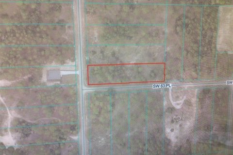 Land in Dunnellon, Florida № 2161695 - photo 4