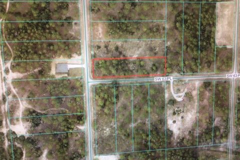 Land in Dunnellon, Florida № 2161695 - photo 2