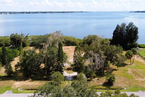 Land in Oldsmar, Florida № 2379213 - photo 8