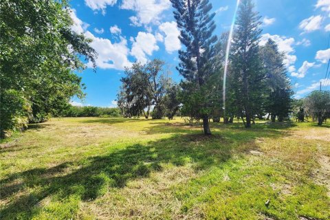 Land in Oldsmar, Florida № 2379213 - photo 16