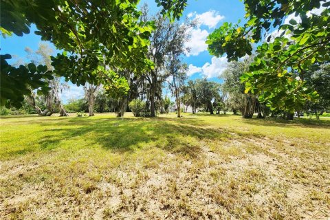 Land in Oldsmar, Florida № 2379213 - photo 15