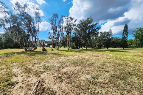 Land in Oldsmar, Florida № 2379213 - photo 13