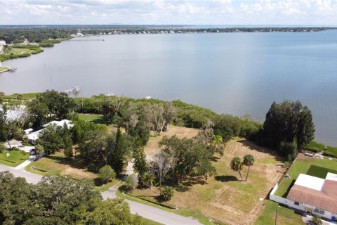 Land in Oldsmar, Florida № 2379213 - photo 3