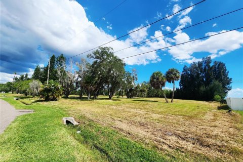 Land in Oldsmar, Florida № 2379213 - photo 10