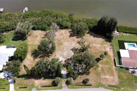 Land in Oldsmar, Florida № 2379213 - photo 7