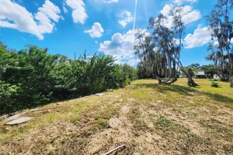 Land in Oldsmar, Florida № 2379213 - photo 14