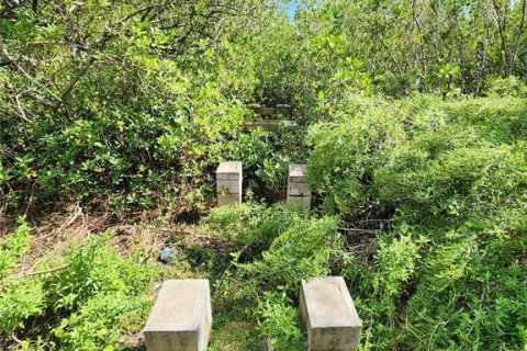 Land in Oldsmar, Florida № 2379213 - photo 12
