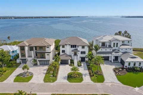Land in Oldsmar, Florida № 2379213 - photo 2