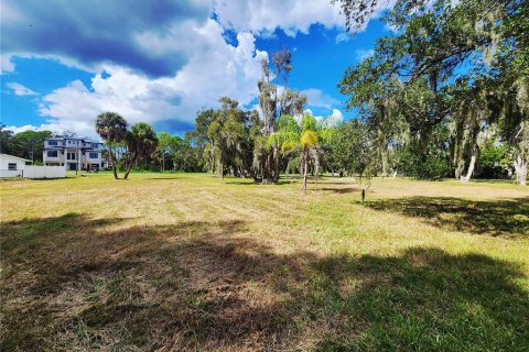 Land in Oldsmar, Florida № 2379213 - photo 11