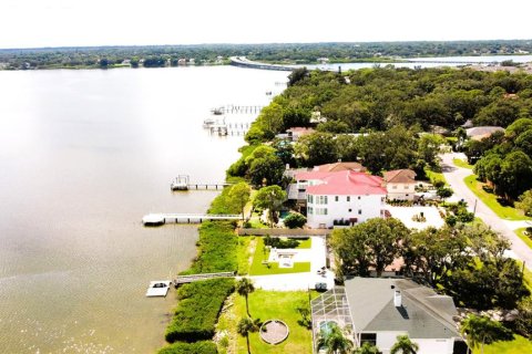 Land in Oldsmar, Florida № 2379213 - photo 6