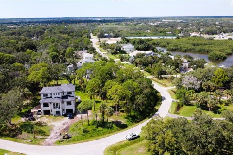 Land in Oldsmar, Florida № 2379213 - photo 4