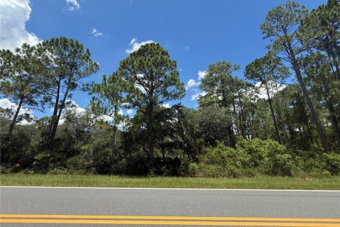 Terrain à vendre à Ocklawaha, Floride № 2160468 - photo 2